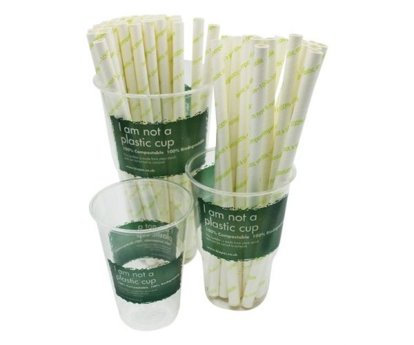 Compostable Paper Straw - "I am not a plastic straw" - 197mm x 8mm - Case of 1000 (10x100)