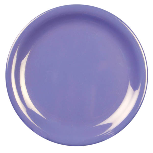 10.5" Melamine Dinner Plate (Narrow Rim) x12