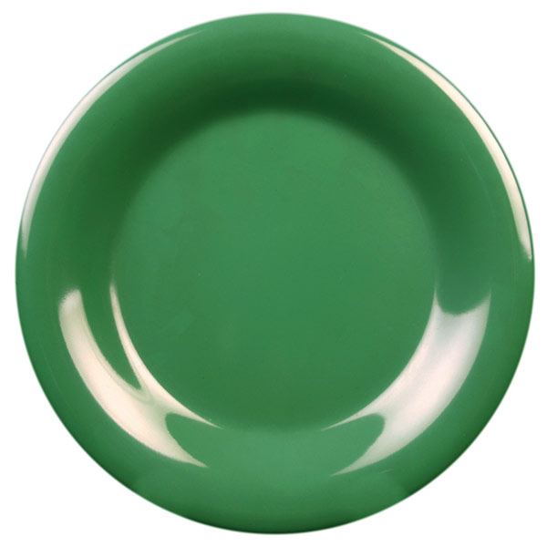 10.5" Melamine Dinner Plate (Wide Rim) x12