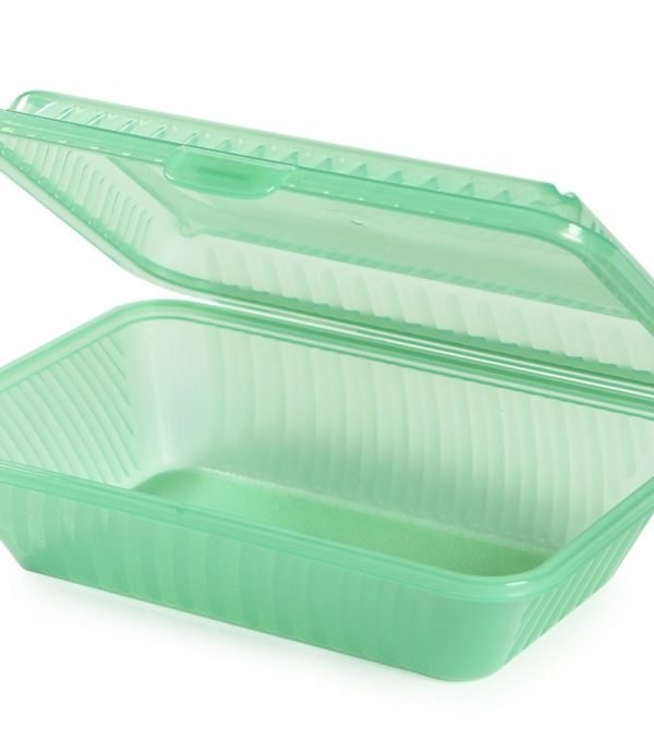Salad Container x12
